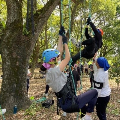 攀樹課程：攀登